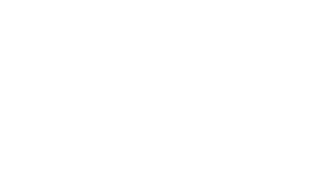 AIG